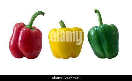 Trois différentes couleurs de poivrons doux isolés sur fond blanc. Poivron rouge, vert et jaune. Banque D'Images
