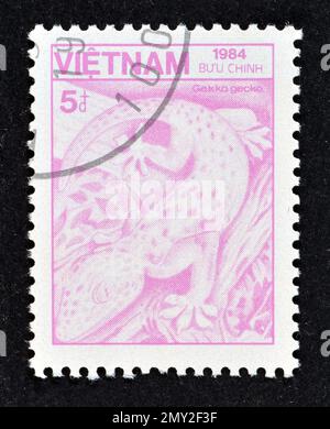 Timbre-poste annulé imprimé par le Vietnam, qui montre Tokay Gecko (Gekko gecko), vers 1984. Banque D'Images