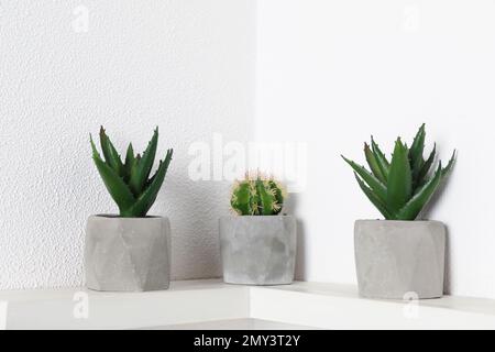 Belles plantes artificielles dans des pots de fleurs sur l'étagère Banque D'Images