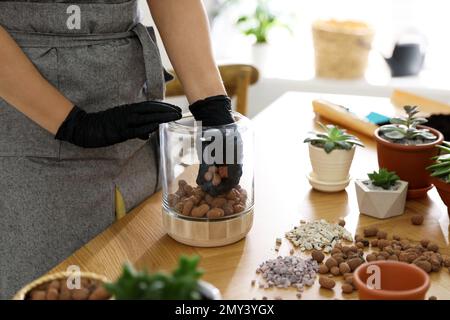 Femme avec de l'argile expansée et des plantes succulentes à la maison, à proximité. Passe-temps captivant Banque D'Images