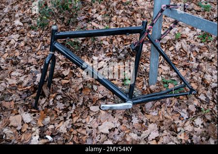 28.01.2023, Berlin, Allemagne, Europe - restes d'un vol de vélo à Tiergarten après le vol de roues, de guidon, de pédales, de sièges et d'autres pièces. Banque D'Images