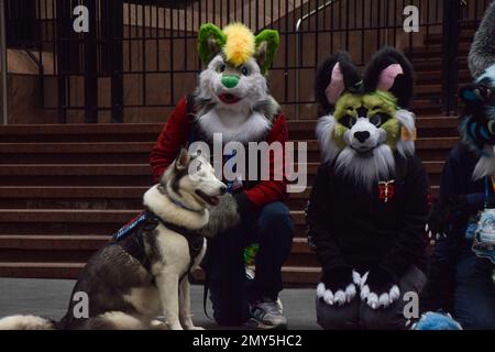 Londres, Angleterre, Royaume-Uni. 4th févr. 2023. Furries, des gens qui aiment porter des costumes d'animaux anthropomorphes, présentent leurs derniers Furs de Londres rencontre dans le centre de Londres. (Credit image: © Vuk Valcic/ZUMA Press Wire) USAGE ÉDITORIAL SEULEMENT! Non destiné À un usage commercial ! Crédit : ZUMA Press, Inc./Alay Live News Banque D'Images