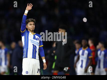 Brighton et Hove, Angleterre, le 4th février 2023. Lors du match de la Premier League au stade AMEX, Brighton et Hove. Le crédit photo devrait se lire: Paul Terry / Sportimage Banque D'Images