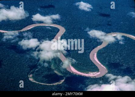 La rivière Tambopata dans le bassin amazonien du Pérou est un affluent important de la rivière Madre de Dios et de la rivière Amazone. Les dragues de l'exploitation aurifère empoisonnent la rivière avec du mercure et causent l'envasement massif qui tue les poissons et d'autres espèces aquatiques. Banque D'Images