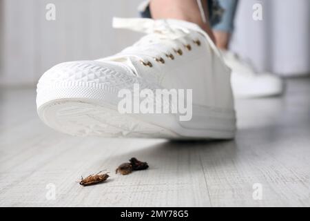 Femme écrasant les cafards avec les pieds, gros plan. Lutte antiparasitaire Banque D'Images