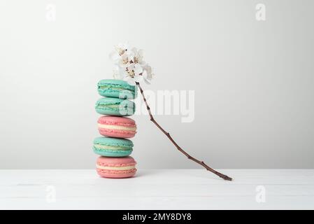 Dessert français de farine d'amande. Cookies macarons de différentes couleurs sur fond blanc. Branche d'abricot avec fleurs Banque D'Images