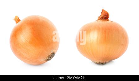 Deux bulbes d'oignon jaune isolés sur blanc Banque D'Images