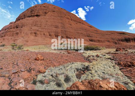 466 immense dôme sur le côté sud de la gorge de Walpa vu de la promenade de Walpa gorge-Kata Tjuta. NT-Australie. Banque D'Images