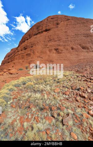 468 immense dôme sur le côté sud de la gorge de Walpa vu de la promenade de Walpa gorge-Kata Tjuta. NT-Australie. Banque D'Images