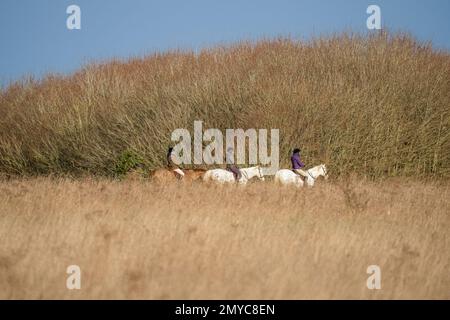 trois dames à cheval dans la campagne ouverte sous un ciel bleu de printemps Banque D'Images