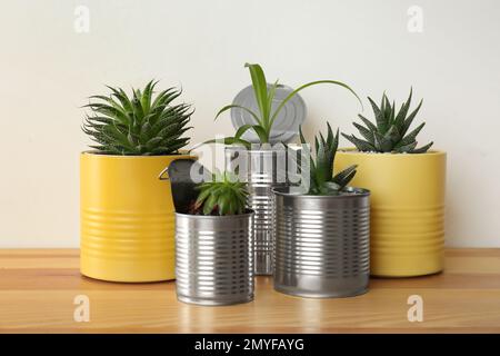 Belles plantes de maison en boîtes de conserve sur table en bois Banque D'Images