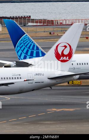 Tokyo, Japon. 2nd févr. 2023. United Airlines Boeing 787-9 Dreamliner (N28987) taxant le terminal international 3 de l'aéroport international de Tokyo après être arrivé de Chicago O'Hare tout en passant une compagnie aérienne japonaise Boeing 767 (N28987) en train de rouler pour le départ à Izumo.United Airlines est une compagnie aérienne américaine importante dont le siège social est à Chicago, assurant des vols vers des destinations nationales et internationales. Connue pour son vaste réseau d'itinéraires et son engagement à l'égard des controverses en matière de droits des passagers, United est l'une des plus grandes compagnies aériennes au monde et est membre de Star Alliance. La compagnie aérienne est en service Banque D'Images