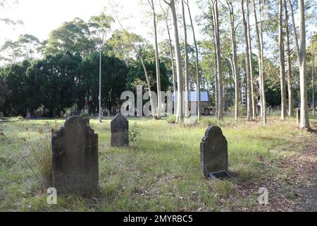 Cimetière catholique de St Patrick, Parramatta Nord. Banque D'Images