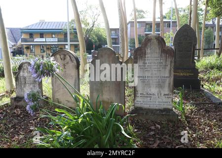 Cimetière catholique de St Patrick, Parramatta Nord. Banque D'Images