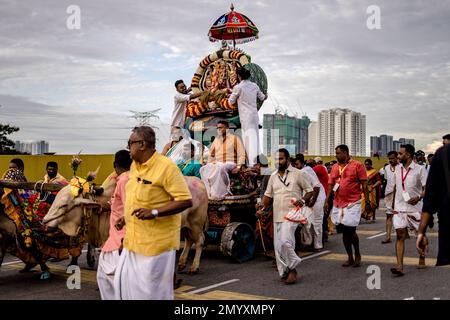 Kuala Lumpur, Kuala Lumpur, Malaisie. 5th févr. 2023. Les dévotés hindous sont vus porter un kavadi avec une vache pendant les festivals de Thaipusam à 5 février 2023 en dehors de Kuala Lumpur, en Malaisie. Le Thaipusam est un festival hindou célébré principalement par la communauté tamoule. Les dévotés prieront et feront des vœux quand les prières seront répondues et ils accomplissent les voeux en piquant des parties de leur corps telles que leurs joues, leurs langues et leurs dos avant de porter un 'Kavadi' ou des pots de lait sur un voyage de quatre kilomètres de foi. (Credit image: © Mohd Daud/ZUMA Press Wire) USAGE ÉDITORIAL SEULEMENT! Non destiné À un usage commercial ! Banque D'Images