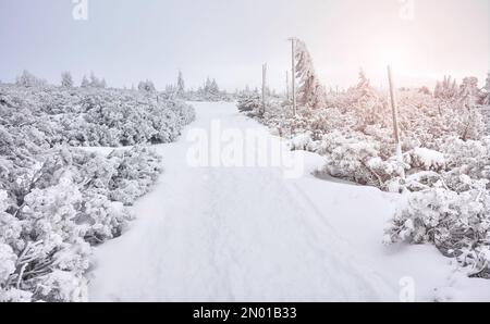 Paysage de montagne d'hiver avec sentier couvert de neige, montagnes de Karkonosze, Pologne. Banque D'Images