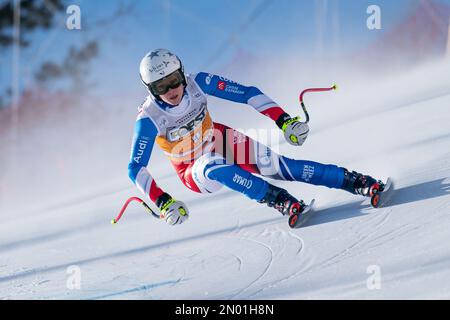 Cortina d’Ampezzo, Italie 21 janvier 2023. MIRADOLI Romane (FRA) en compétition pour la coupe du monde de ski alpin Audi FIS course de descente des femmes à l’Olympie Banque D'Images