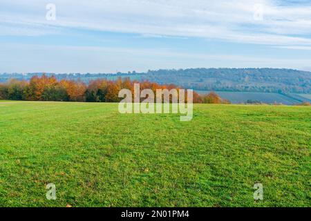 Lullingstone Country Park aux couleurs automnales, Kent, Royaume-Uni Banque D'Images