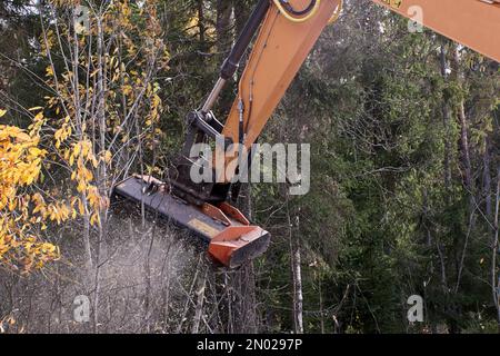 Dégagement du côté de la route forestière avec tête de broyage montée sur une pelle hydraulique. Banque D'Images