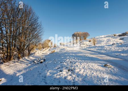 Collines enneigées et scènes hivernales sur Cleeve Hill, Gloucestershire Banque D'Images