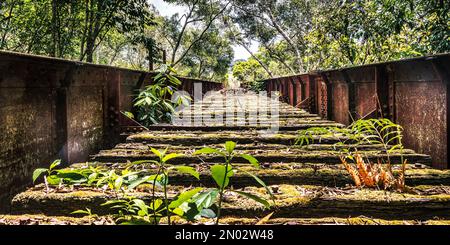 Ancien pont ferroviaire sur les plateaux d'Atherton Banque D'Images