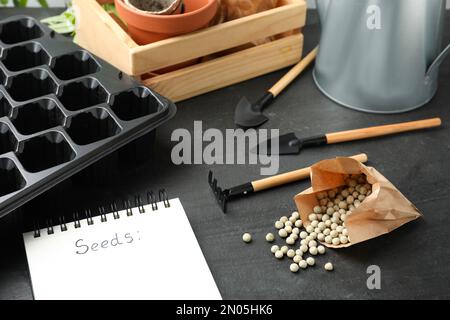 Pois secs crus, outils de jardinage et carnet sur table noire. Plantation de légumes Banque D'Images