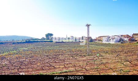 Vue sur Rodonyá dans l'Alt Camp, Catalunya, Espagne, Europe Banque D'Images