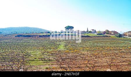 Vue sur Rodonyá dans l'Alt Camp, Catalunya, Espagne, Europe Banque D'Images