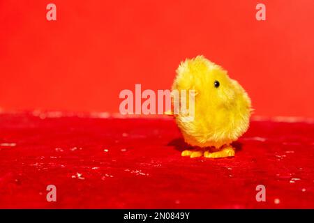 Un joli petit poussin se tient seul sur un fond rouge. Conceptuel. Banque D'Images