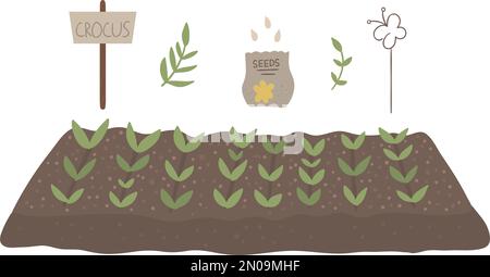 Lit vectoriel avec plantes germées, paquet de graines, tableau de signes isolé sur fond blanc. Illustration d'un jardin de printemps plat. Icône jardinage Illustration de Vecteur