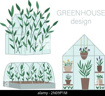 Ensemble vectoriel de serres avec plantes en pots et fleurs. Illustration d'une maison chaude plate isolée sur fond blanc. Vue avant et latérale de la salle verte pic Illustration de Vecteur