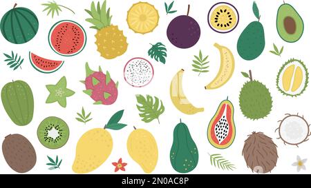 Fruits tropicaux vectoriels et baies avec tranches et moitiés clip art Illustration du feuillage de la jungle. Plantes exotiques plates dessinées à la main isolées sur le backgr blanc Illustration de Vecteur