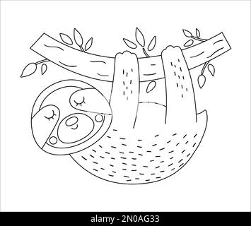 Adorable glossette vector accrochée au contour d'un brunch d'arbre. Illustration amusante d'animaux exotiques tropicaux en noir et blanc. Page de coloriage amusante pour les enfants. Jungle Illustration de Vecteur