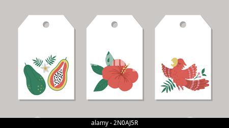 Ensemble de marqueurs de cadeau d'été vectoriels, étiquettes, motifs préfabriqués avec des oiseaux tropicaux, des fleurs, des fruits. Modèles de cartes exotiques amusants avec personnages de jungle mignons. Illustration de Vecteur