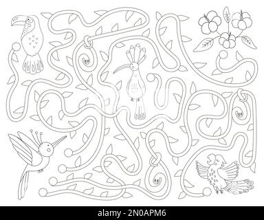 Labyrinthe tropical noir et blanc pour les enfants. Activité exotique préscolaire. Drôle de casse-tête de jungle avec le perroquet mignon, le hoopoe et le toucan. Aidez l'oiseau à atteindre t Illustration de Vecteur