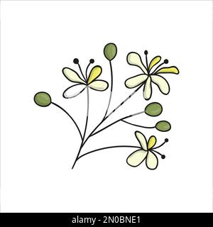 Ligne vectorielle de l'élément d'arbre de linden isolé sur fond blanc. Illustration botanique des fleurs de tilleul. Clip art noir et blanc Illustration de Vecteur