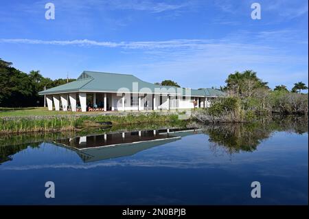 Homestead, Floride - 1-21-2023 - Grand Alligator se faisant prendre le soleil devant le Royal Palm Visitor Centre, dans le parc national des Everglades, le matin. Banque D'Images