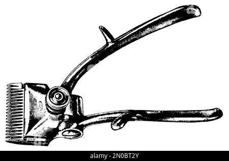 gravure du xixe siècle d'une tondeuse à cheveux manuelle montrant une vue latérale de l'outil de toilettage vintage avec lames, levier et poignées, isolé sur blanc. Banque D'Images