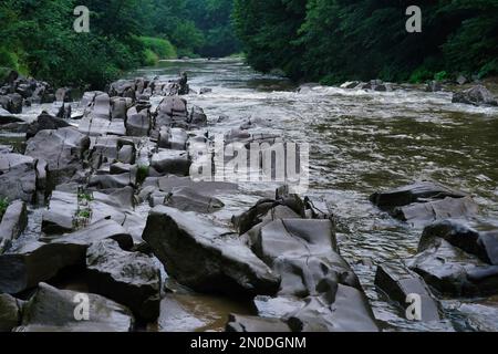 Podkarpacie, été, juillet, San River, un jour pluvieux sur une rive rocheuse Banque D'Images