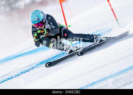 Cortina d’Ampezzo, Italie 21 janvier 2023. PICHLER Karoline (ITA) participant à la course de ski alpin féminine de la coupe du monde Audi FIS sur l’Olympii Banque D'Images