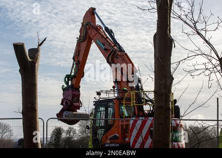 Hartwell, Aylesbury, Royaume-Uni. 5th février 2023. HS2 arbre abattage aujourd'hui. HS2 avaient encore plus d'arbres abattus aujourd'hui à côté des A418 à Hartwell, Aylesbury. HS2 ont détruit des milliers d'arbres le long de la route du train à grande vitesse 2 de Londres à Birmingham. HS2 a un impact dévastateur sur les habitats fauniques et les terres boisées de Buckinghamshire. Crédit : Maureen McLean/Alay Live News Banque D'Images