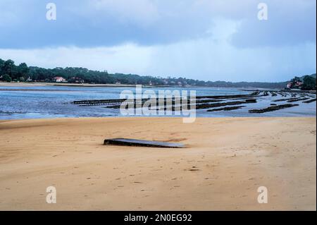 Le lac d'Hossegor est le seul endroit du département des Landes où les huîtres sont cultivées, dans le sud-ouest de la France Banque D'Images