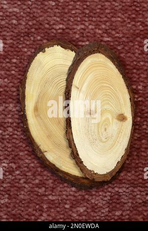 Grosse tranche de tronc d'arbre coupée des bois. Surface texturée avec anneaux et fissures sur texture tricotée rouge Banque D'Images
