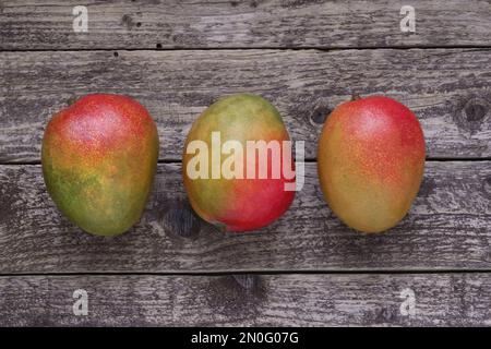 Fruits mangue sur fond de bois, vue sur le dessus de la table. Trois mangues mûres posées en rangée sur une planche en bois foncé, photo directement du dessus. Banque D'Images