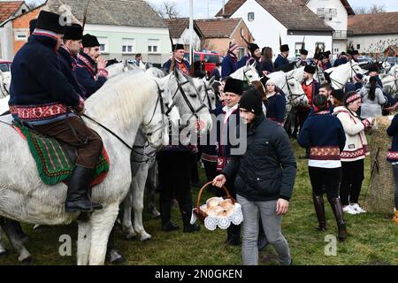 Les propriétaires et éleveurs de chevaux Lipizzan vêtus d'une tenue traditionnelle participent à l'équitation du Carnaval, dans le village d'Oprisavci près de Brod Slavonski, dans le comté de Brod-Postavina, en Croatie, sur 05 février 2023. Photo: Ivica Galovic/PIXSELL Banque D'Images