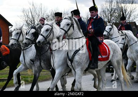 Les propriétaires et éleveurs de chevaux Lipizzan vêtus d'une tenue traditionnelle participent à l'équitation du Carnaval, dans le village d'Oprisavci près de Brod Slavonski, dans le comté de Brod-Postavina, en Croatie, sur 05 février 2023. Photo: Ivica Galovic/PIXSELL Banque D'Images