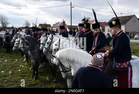 Les propriétaires et éleveurs de chevaux Lipizzan vêtus d'une tenue traditionnelle participent à l'équitation du Carnaval, dans le village d'Oprisavci près de Brod Slavonski, dans le comté de Brod-Postavina, en Croatie, sur 05 février 2023. Photo: Ivica Galovic/PIXSELL Banque D'Images