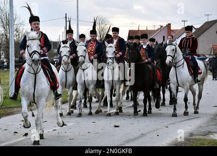 Les propriétaires et éleveurs de chevaux Lipizzan vêtus d'une tenue traditionnelle participent à l'équitation du Carnaval, dans le village d'Oprisavci près de Brod Slavonski, dans le comté de Brod-Postavina, en Croatie, sur 05 février 2023. Photo: Ivica Galovic/PIXSELL Banque D'Images