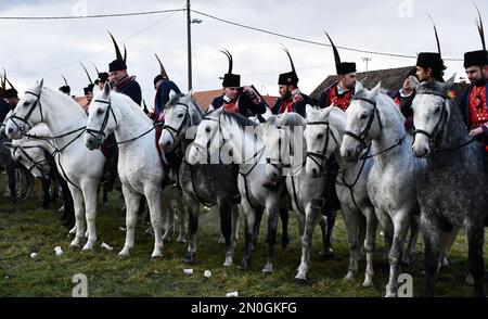 Les propriétaires et éleveurs de chevaux Lipizzan vêtus d'une tenue traditionnelle participent à l'équitation du Carnaval, dans le village d'Oprisavci près de Brod Slavonski, dans le comté de Brod-Postavina, en Croatie, sur 05 février 2023. Photo: Ivica Galovic/PIXSELL Banque D'Images