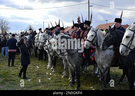 Les propriétaires et éleveurs de chevaux Lipizzan vêtus d'une tenue traditionnelle participent à l'équitation du Carnaval, dans le village d'Oprisavci près de Brod Slavonski, dans le comté de Brod-Postavina, en Croatie, sur 05 février 2023. Photo: Ivica Galovic/PIXSELL Banque D'Images